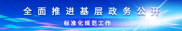全面推進基層政務公開